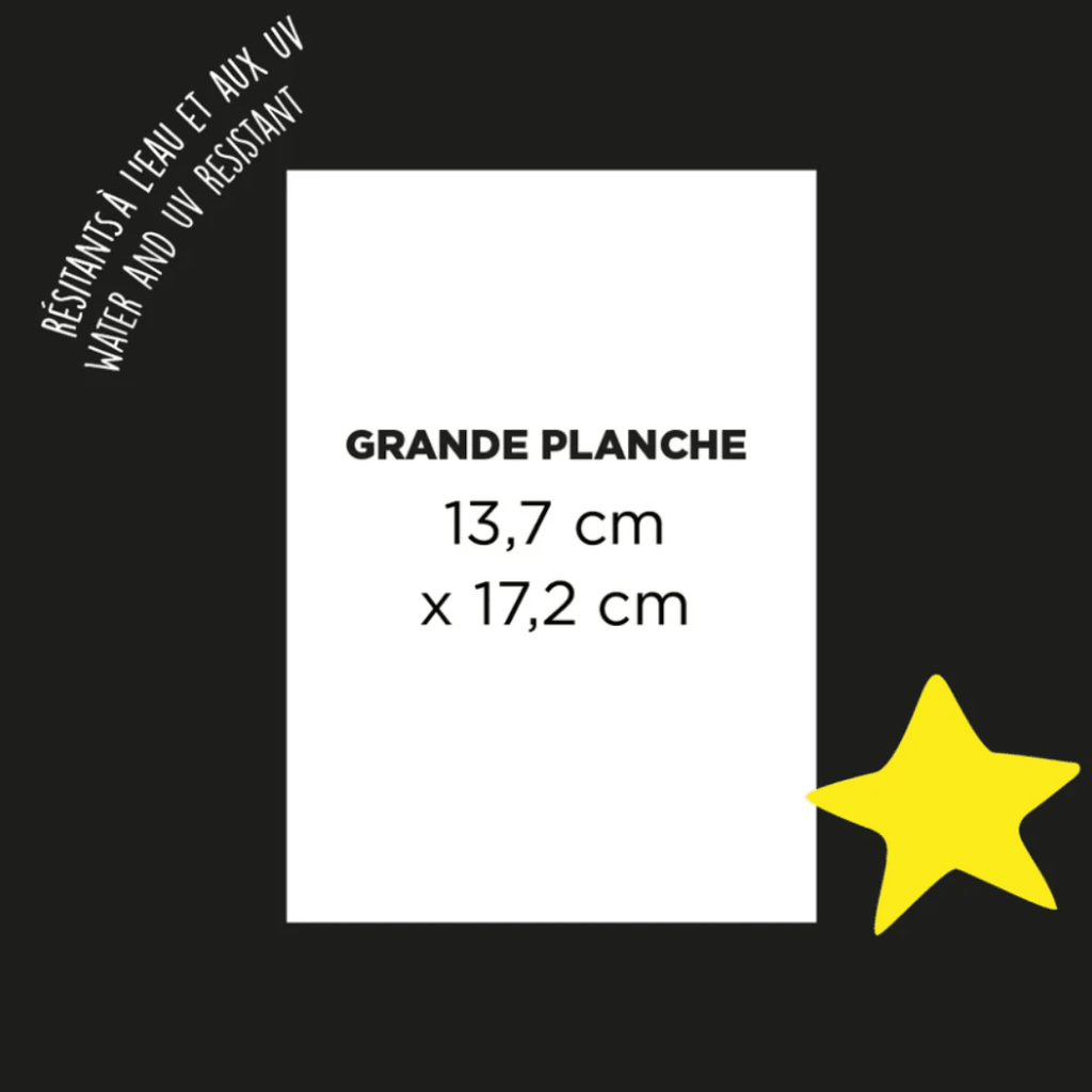 Stickers réfléchissants | Animaux - Rainette