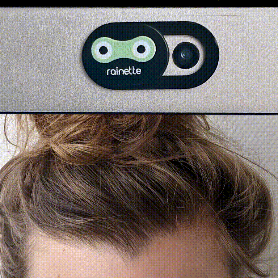 Webcam-Versteck - Laubfrosch